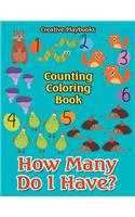 How Many Do I Have? Counting Coloring Book: (English)