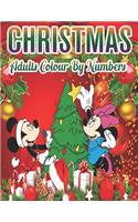 Christmas Adults Colour By Numbers