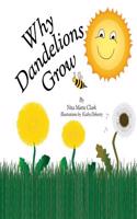 Why Dandelions Grow