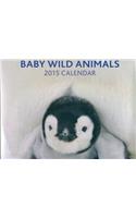 Baby Wild Animals 2015 Wall Calendar 12x12