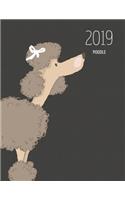 2019 Poodle