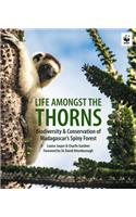 Life Among the Thorns