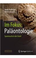 Im Fokus: Paläontologie: Spurensuche in der Urzeit(Naturwissenschaften im Fokus)