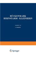 Rückenmark Hirnstamm - Kleinhirn