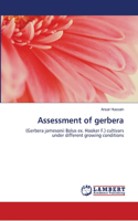 Assessment of gerbera