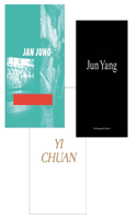 Jun Yang: The Monograph Project Band 4-6