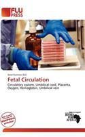 Fetal Circulation