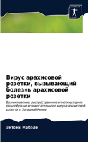 &#1042;&#1080;&#1088;&#1091;&#1089; &#1072;&#1088;&#1072;&#1093;&#1080;&#1089;&#1086;&#1074;&#1086;&#1081; &#1088;&#1086;&#1079;&#1077;&#1090;&#1082;&#1080;, &#1074;&#1099;&#1079;&#1099;&#1074;&#1072;&#1102;&#1097;&#1080;&#1081; &#1073;&#1086;&#108