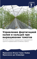 Управление фертигацией калия и кальция п&#1088