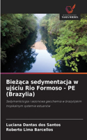Biezaca sedymentacja w ujsciu Rio Formoso - PE (Brazylia)
