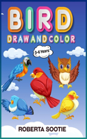 Birds Draw and Color 3-6 years