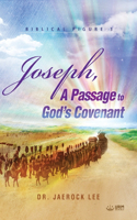 Joseph, A Passage to God's Covenant(English Edition)