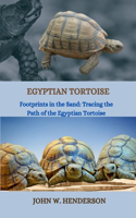 Egyptian Tortoise