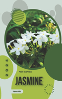 Jasmine