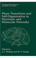 Phase Transitions and Self-Organization in Electronic and Molecular Networks