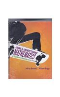 Using and Understanding Mathematics and Video Lectures on DVD
