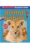 Scholastic Discover More: Animal Babies