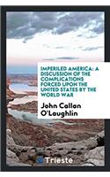Imperiled America: A Discussion of the Complications Forced Upon the United States by the World War