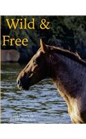 Wild & Free
