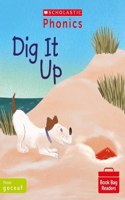 Dig It Up (Set 2): (Phonics Book Bag Readers)