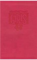 KJV Study Bible for Girls