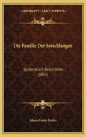 Familie Der Seeschlangen