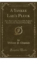 A Yankee Lad's Pluck