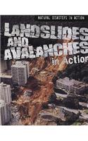 Landslides and Avalanches in Action