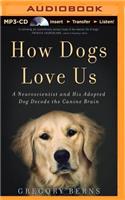How Dogs Love Us