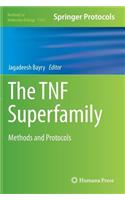 Tnf Superfamily