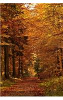 Forest Path in the Fall Journal