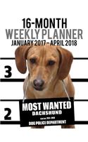 2017-2018 Weekly Planner - Most Wanted Dachshund: Daily Diary Monthly Yearly Calendar