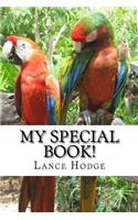 My Special Book!: (English)