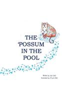 The Possum in the Pool
