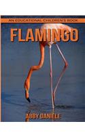 Flamingo! An Educational Children's Book about Flamingo with Fun Facts & Photos