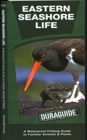 Eastern Seashore Life: A Folding Guide to Familiar Animals & Plants(Nature Observation North America)