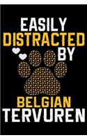 Easily Distracted by Belgian Tervuren