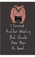 I Survived Another Meeting That Should Have Been An Email.: Stunning Funny Boss Gifts Ruled Paper Notebook Journal - Cute Work Gifts For Coworker Blank Lined Workbook For Employees Boss Women Men Lawyers Stud