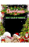 Christmas Adult Color By Numbers