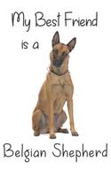 My best Friend is a Belgian Shepherd