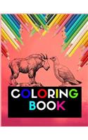 Animal Coloring Book: (Petal Coloring)