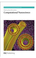 Computational Nanoscience: (Volume 4 Theoretical and Computational Chemistry Series)