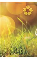 Bokeh Grass Journal