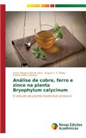 Análise de cobre, ferro e zinco na planta Bryophylum calycinum