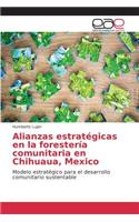 Alianzas estratégicas en la forestería comunitaria en Chihuaua, Mexico