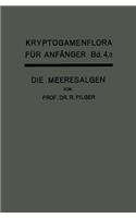 Die Algen