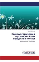 Samoorganizatsiya Organicheskogo Veshchestva Pochvy