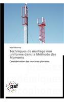 Techniques de Maillage Non Uniforme Dans La Méthode Des Moments