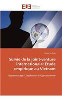 Survie de la Joint-Venture Internationale
