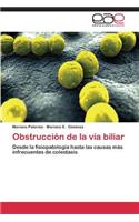 Obstruccion de La Via Biliar